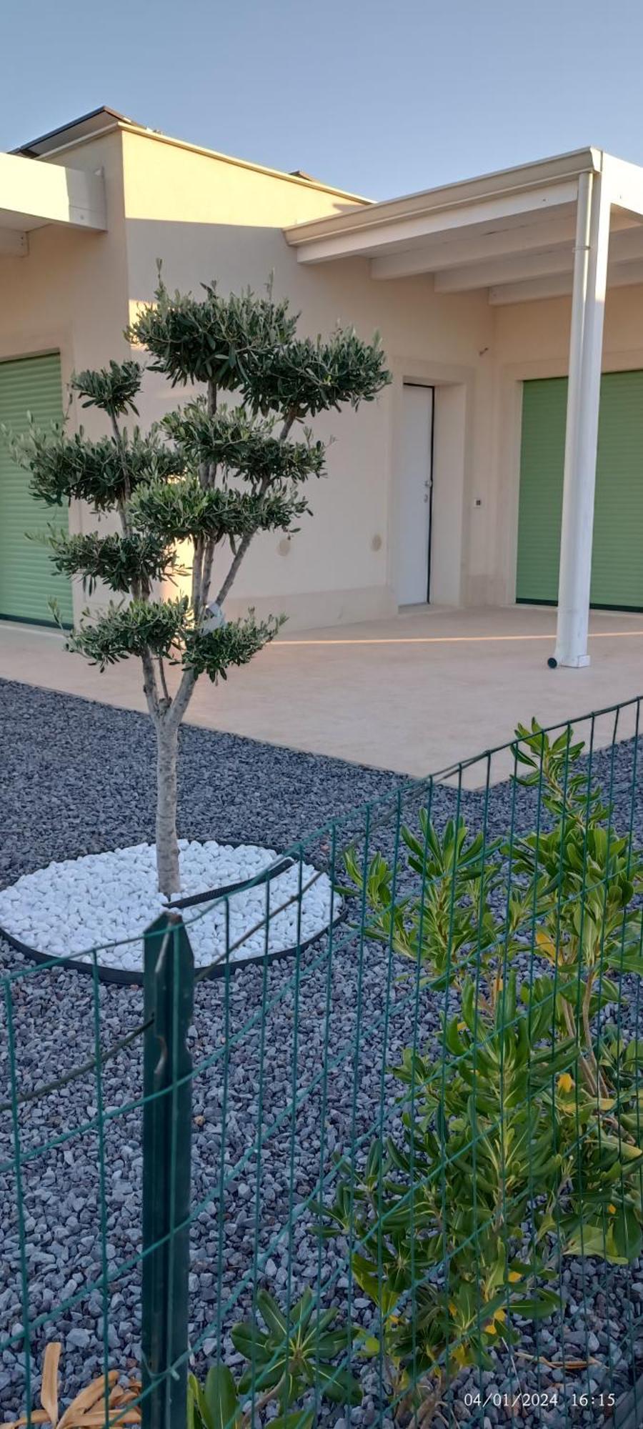 Casa Vacanze Pantakyas Brucoli Zewnętrze zdjęcie